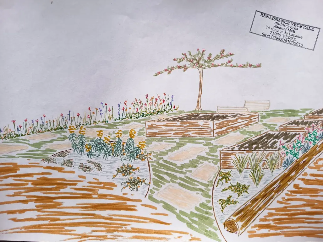 Réalisation jardin 7