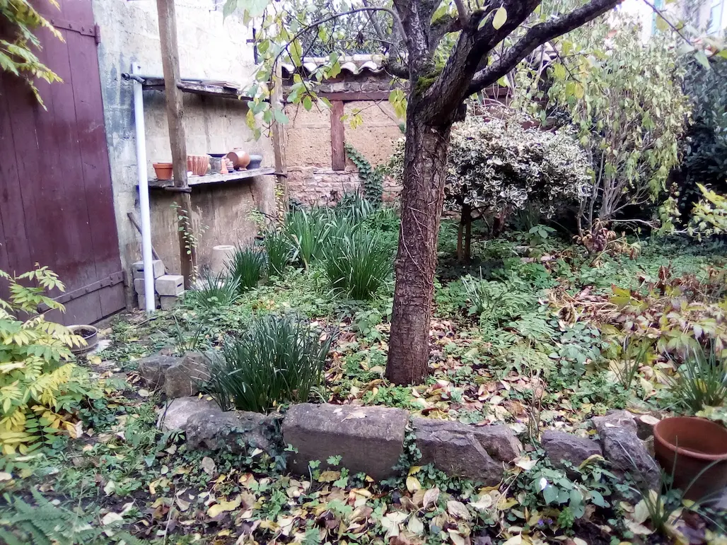 Réalisation jardin 7